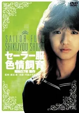 折叠海岸 奇幻电影高清在线观看